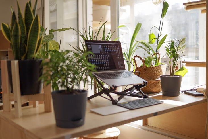 Desk with plants 