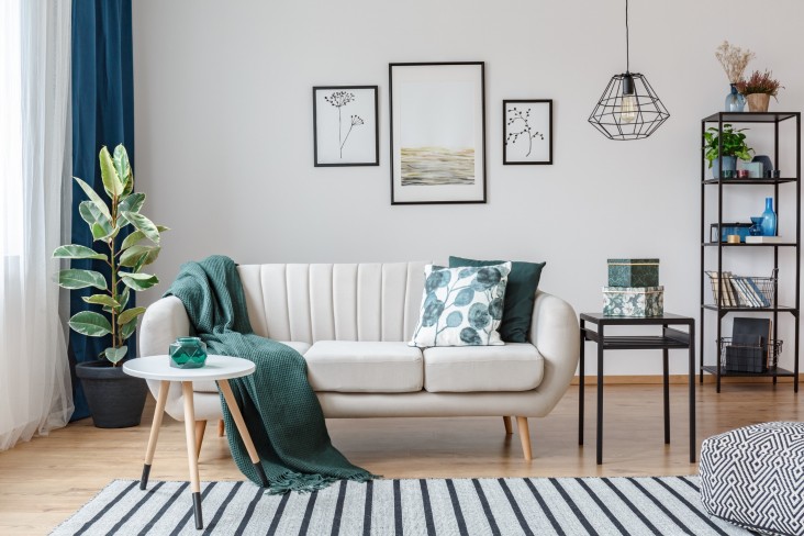 Living room with couch and plants