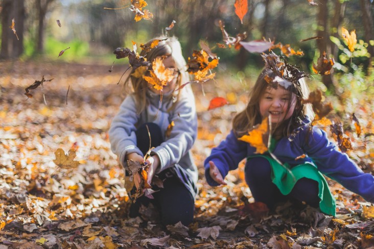 Children playing in leaves