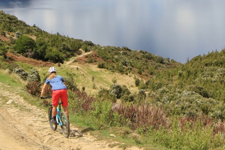 Mountain Bikers enjoy the Wanaka outdoors