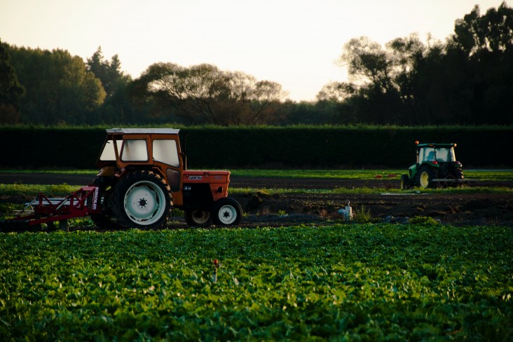 Tractor on a field