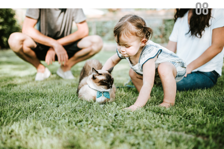 Child patting cat